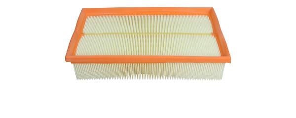 Car air filter Citroen: 1444TE Citroen/Peugeot Air filter