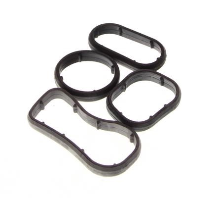 Gasket Morgan: 77010400 Ajusa Gasket Set, oil cooler