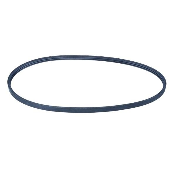 Drive belt Jaguar: 3PK590 Contitech Poly-V belt 3PK590