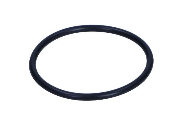 10260 febi Termostat gasket