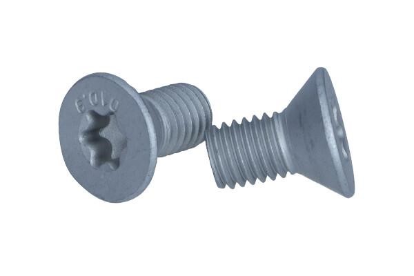 TPM0010 Textar Brake disc bolt