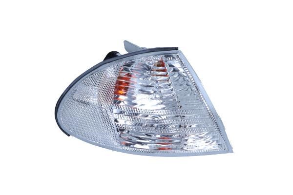 4441506RAEC Depo Indicator light