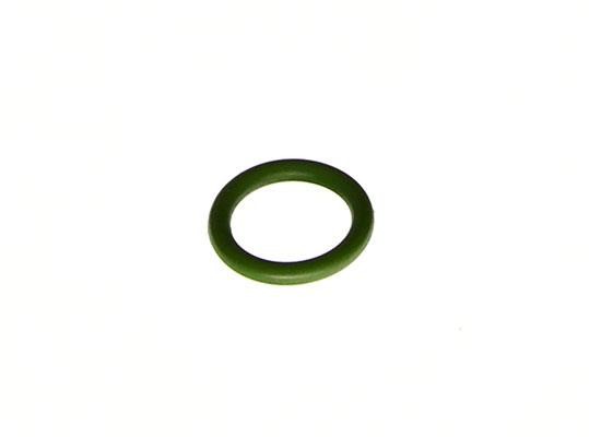 509140 Valeo Seal, coolant tube