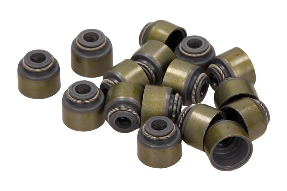 Valve stem seals Toyota Echo: 125312901 Victor Reinz Valve oil seals, kit