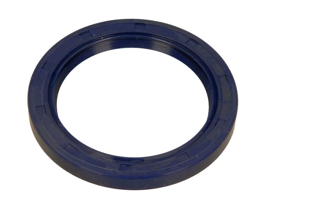 815329700 Victor Reinz Rear crankshaft oil seal