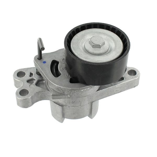 Guide pulley Citroen Nemo: VKM33300 SKF Drive belt tensioner pulley