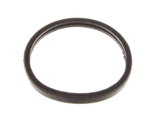 722054 Topran Termostat gasket