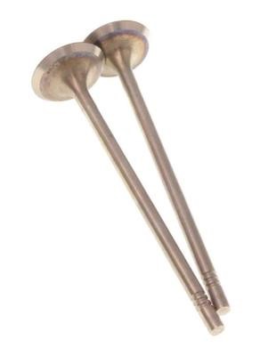 331156 TRW Engine Intake valve