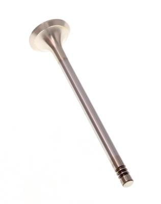 Exhaust valve Citroen Jumpy: 181105 TRW Engine Exhaust valve