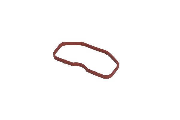 079129717B VAG Intake manifold gasket