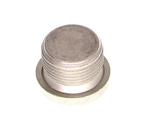 N10037106 VAG Sump plug