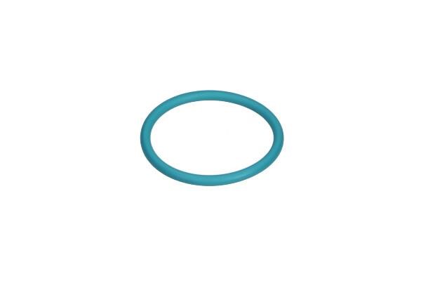N91008501 VAG O-ring