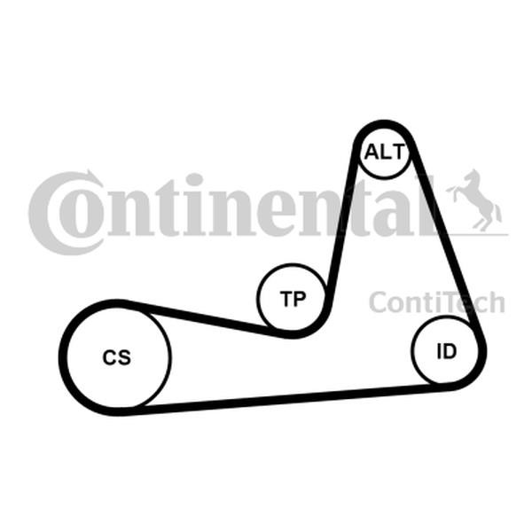 Buy Contitech 6PK1130K1 – good price at EXIST.AE!