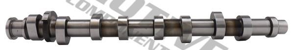 Buy Motive Components T2184 at a low price in United Arab Emirates!
