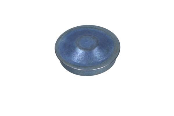 8200649356 Renault Wheel bearing cap