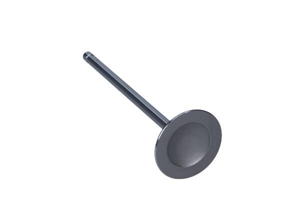 PDAE001S00 AMP Intake valve