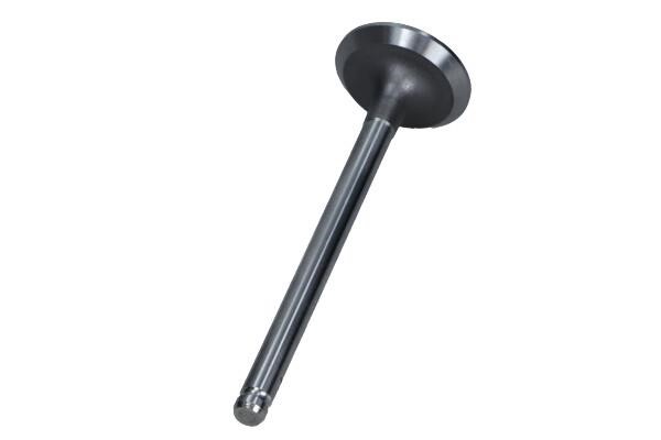 PDAE004A0D AMP Exhaust valve