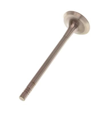 PPEU111B0N AMP Exhaust valve