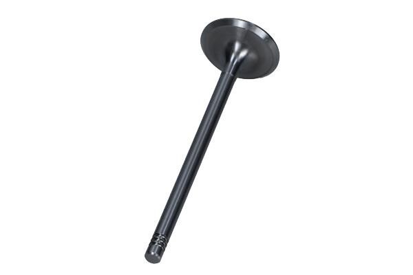 PBMW019A0N AMP Exhaust valve
