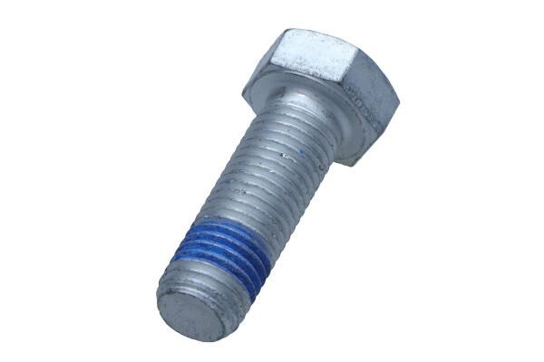 13819003301 Ate Bolt, brake caliper