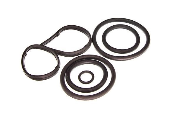 Gasket Citroen DS5: 77001700 Ajusa Gasket