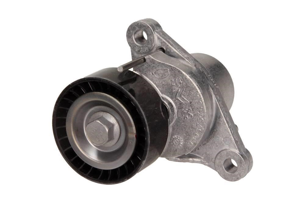 1613255380 Citroen/Peugeot DRIVE BELT TENSIONER