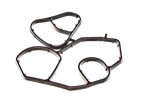 Gaskets Ford Focus: 77035100 Ajusa Gasket Set, oil cooler