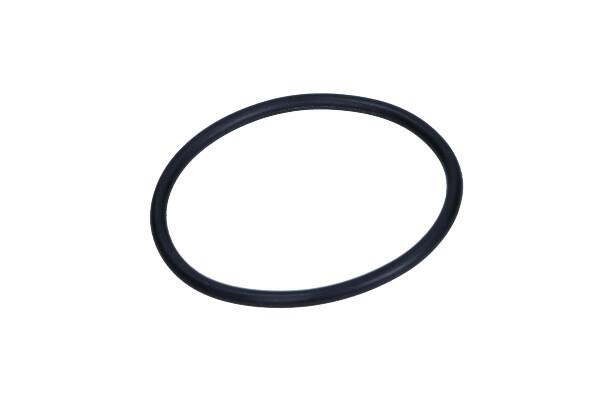 231251 Citroen/Peugeot O-ring