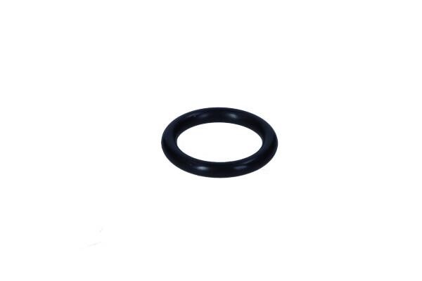 16009800 Ajusa Intake manifold gasket