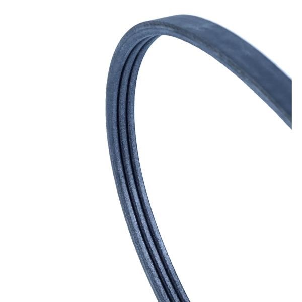 Drive belt Rover: 3PK815 Contitech Poly-V belt 3PK815