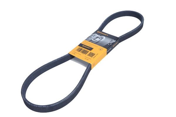 6DPK1100 Contitech Poly-V belt 6PK1100