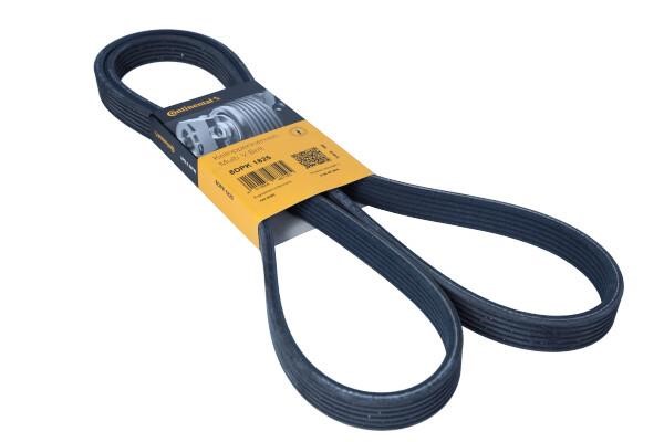 Alternator belt Volvo C70: 6DPK1825 Contitech Poly-V belt 6DPK1825