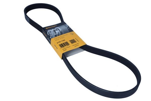 Aux belt Citroen Jumpy: 6PK1165 Contitech Poly-V belt 6PK1165