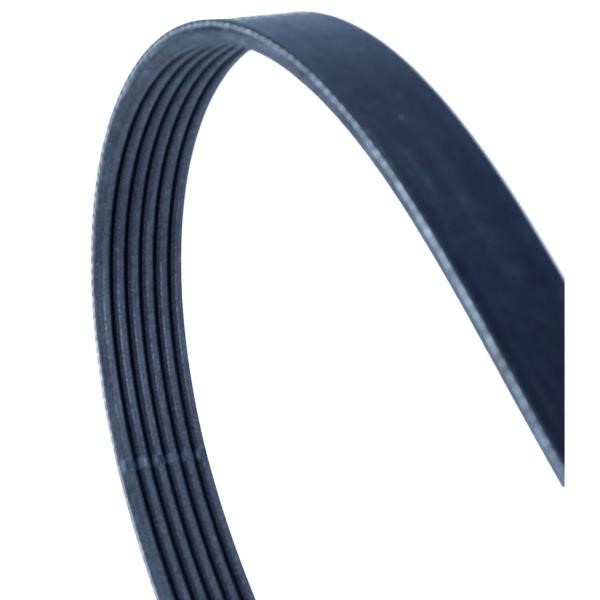 Contitech 6PK1441 EXTRA Poly-V belt 6PK1441EXTRA 6PK1441EXTRA Contitech Poly-V belt