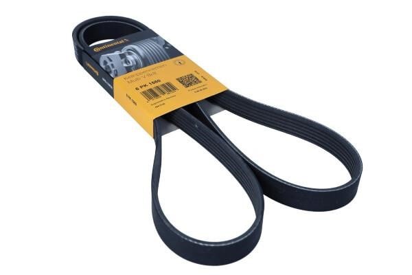 Drive belt Rover: 6PK1560 Contitech Poly-V belt 6PK1560