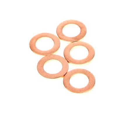 9001850R Delphi Seal Ring, injector