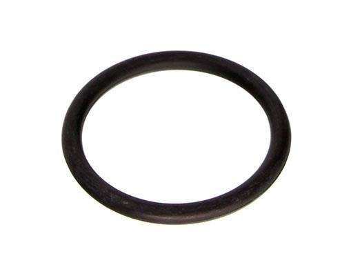DRM01467 Dr.Motor Termostat gasket