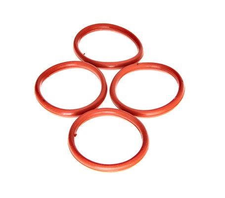 Air inlet manifold gasket Citroen Nemo: DRM01757S Dr.Motor Intake manifold gaskets, kit