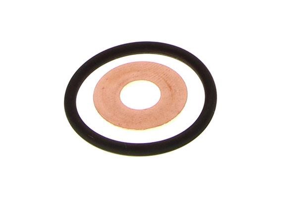 Gasket Land Rover: DRM01162S Dr.Motor Seal Kit, injector nozzle