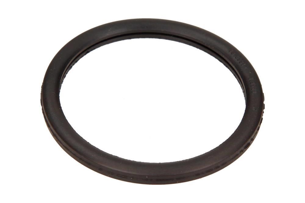 1890568 Eps Termostat gasket