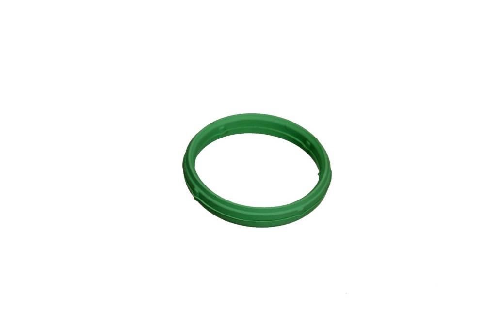 511003 FA1 Intake manifold gasket