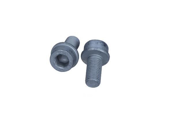 11631K Quick brake Bolt, brake caliper