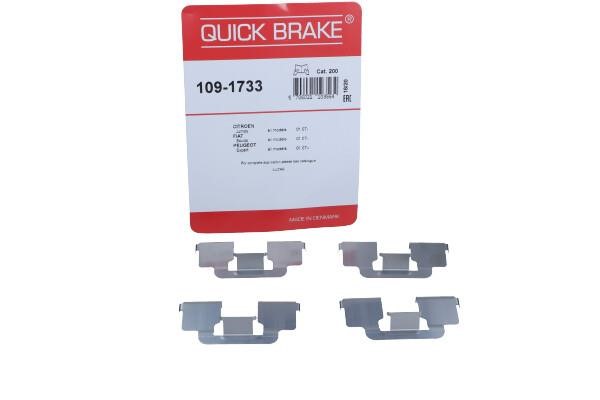 1091733 Quick brake Brake pad spring