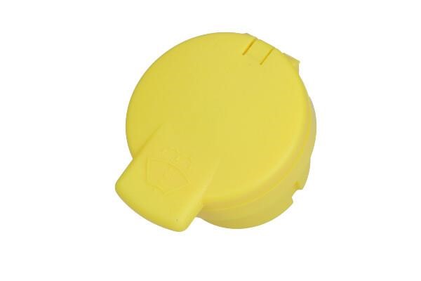 289130999R Renault Owl tank cover