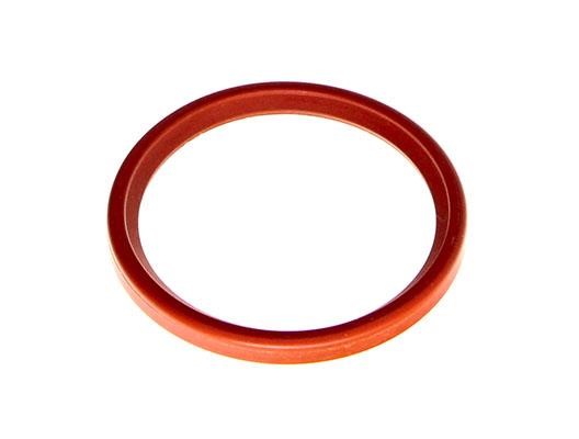 7701065055 Renault Ring