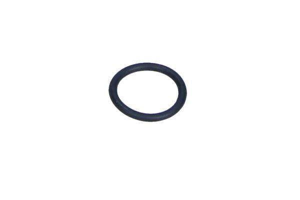 WHT001011 VAG O-ring