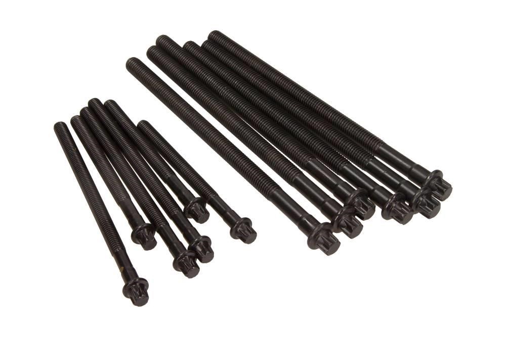 143231401 Victor Reinz Cylinder Head Bolts Kit