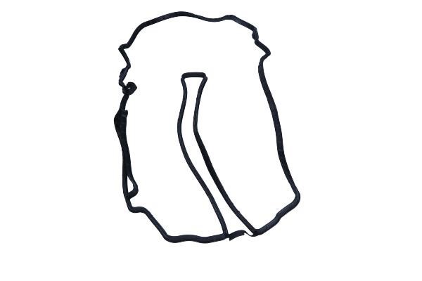 711781300 Victor Reinz Rocker cover gasket