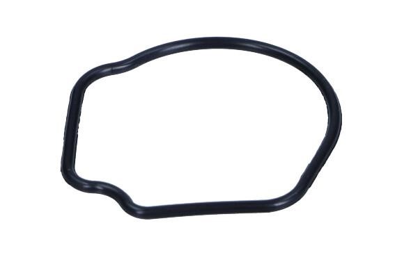 713624200 Victor Reinz Termostat gasket