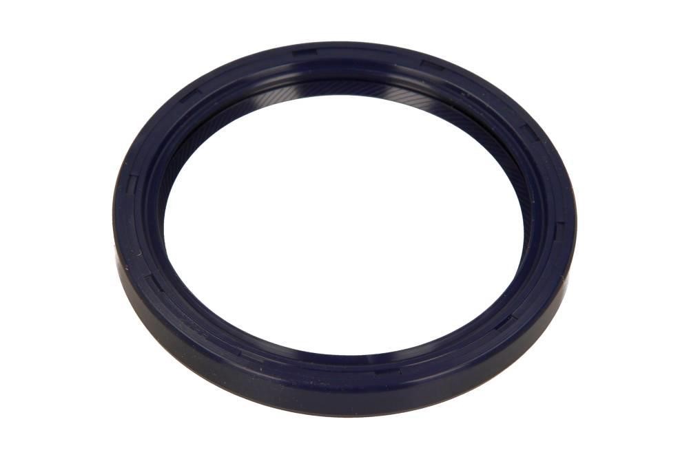 815342400 Victor Reinz Rear crankshaft oil seal
